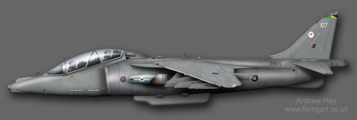 Harrier T.10 ZH659 20(R) Sqn